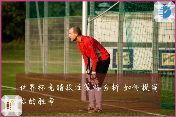 世界杯竞猜投注策略分析 如何提高你的胜率