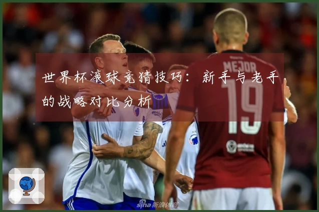 世界杯滚球竞猜技巧:新手与老手的战略对比分析