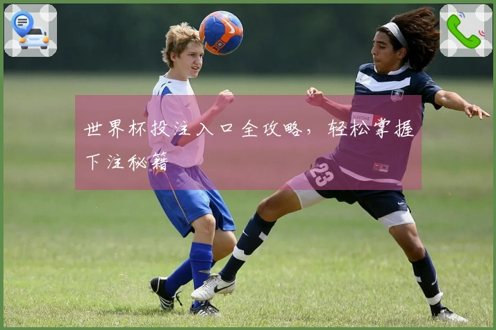 世界杯投注入口全攻略，轻松掌握下注秘籍