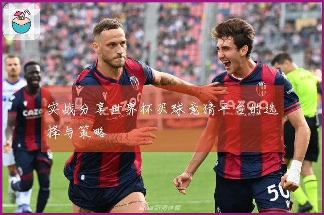实战分享世界杯买球竞猜平台的选择与策略