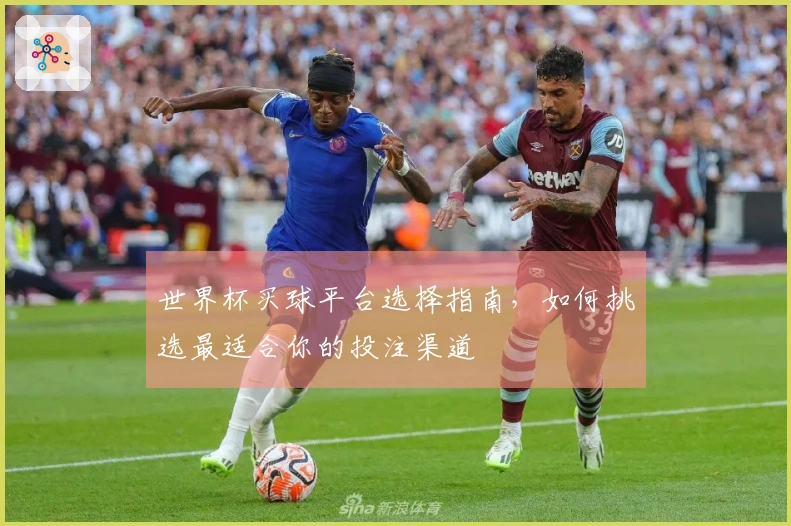 世界杯买球平台选择指南，如何挑选最适合你的投注渠道