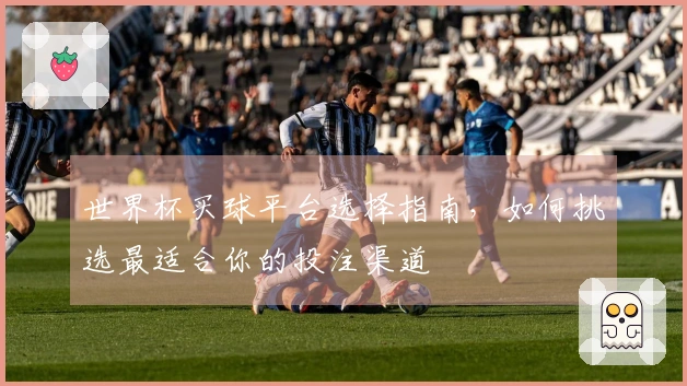 世界杯买球平台选择指南,如何挑选最适合你的投注渠道