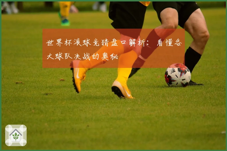 世界杯滚球竞猜盘口解析：看懂各大球队决战的奥秘