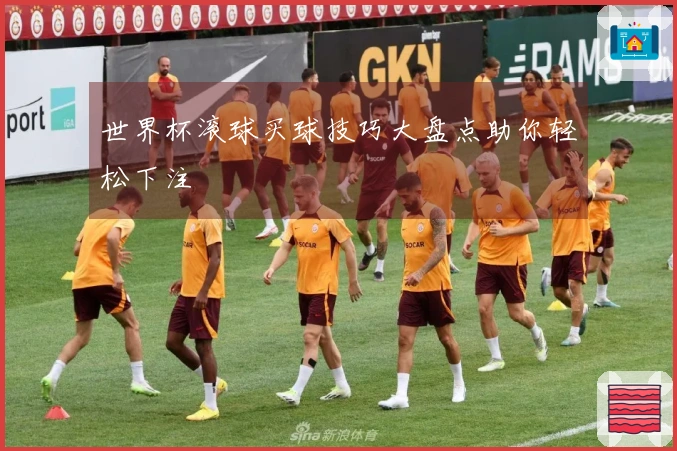 世界杯滚球买球技巧大盘点助你轻松下注