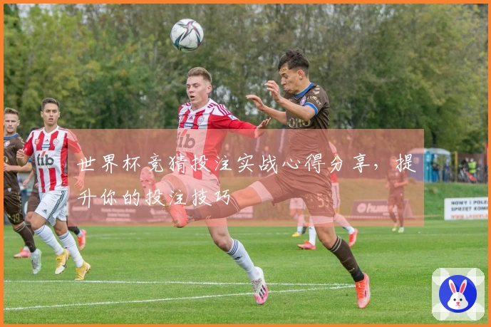 世界杯竞猜投注实战心得分享,提升你的投注技巧