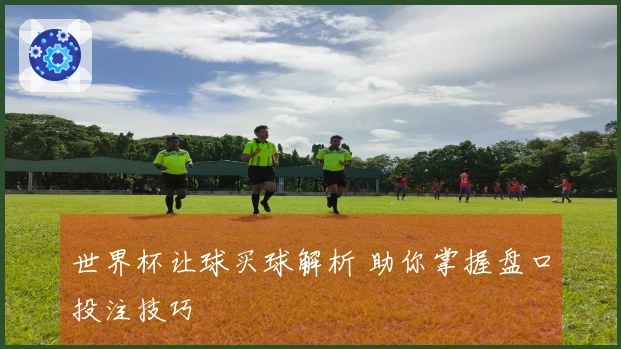 世界杯让球买球解析 助你掌握盘口投注技巧