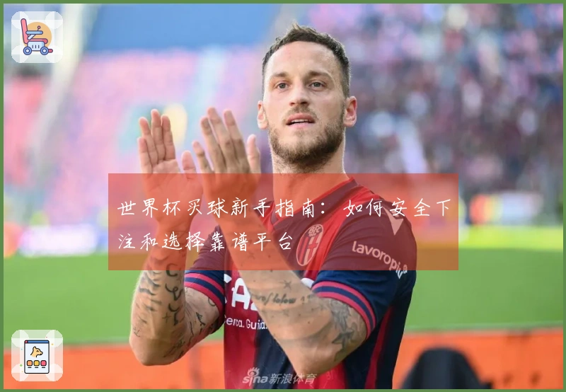 世界杯买球新手指南：如何安全下注和选择靠谱平台