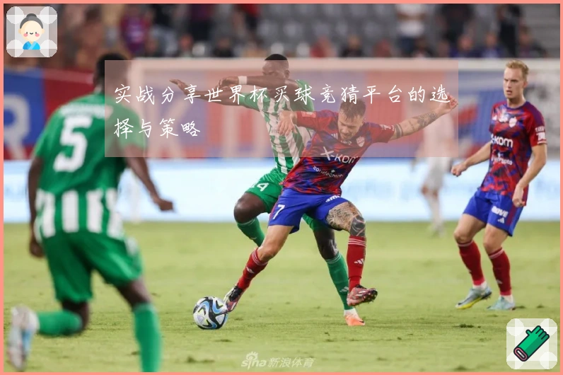 实战分享世界杯买球竞猜平台的选择与策略