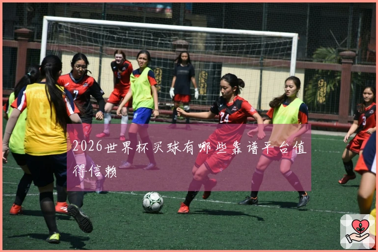 2026世界杯买球有哪些靠谱平台值得信赖
