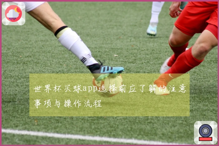 世界杯买球app选择前应了解的注意事项与操作流程