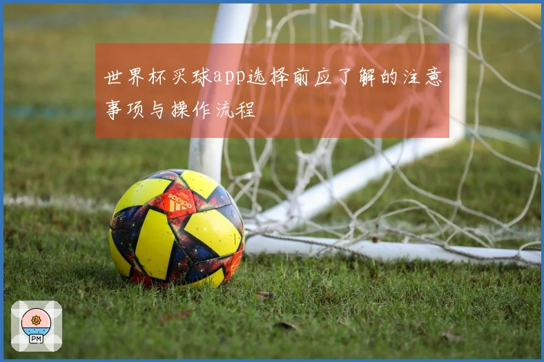 世界杯买球app选择前应了解的注意事项与操作流程