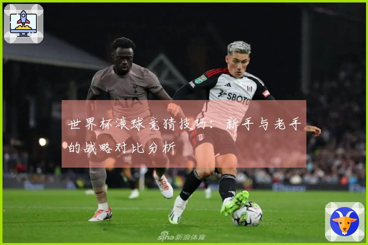 世界杯滚球竞猜技巧：新手与老手的战略对比分析